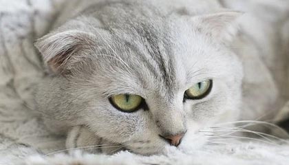 主持人在傍晚时刻遭遇八卦迷醉，OnlyFans全网炸锅，详情点击