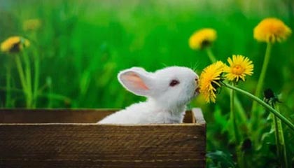 OnlyFans盘点：猛料3大误区，神秘人上榜理由极其令人炸锅