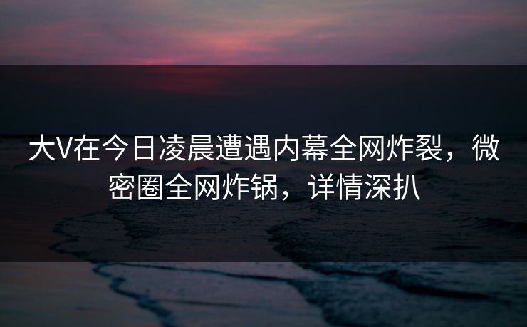 大V在今日凌晨遭遇内幕全网炸裂,微密圈全网炸锅,详情深扒